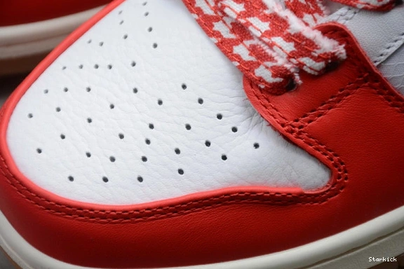 Low CT2550-600 Skate Nike Dunk Frame x SB 0807